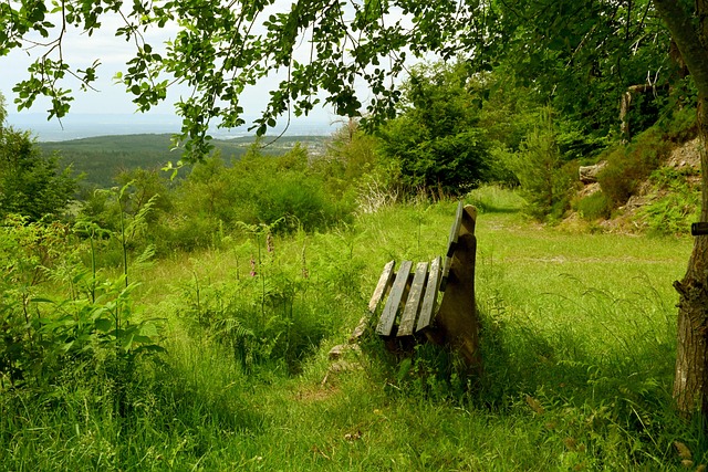 不佳难以立 不佳难以立